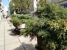LG GC900 camera sample
